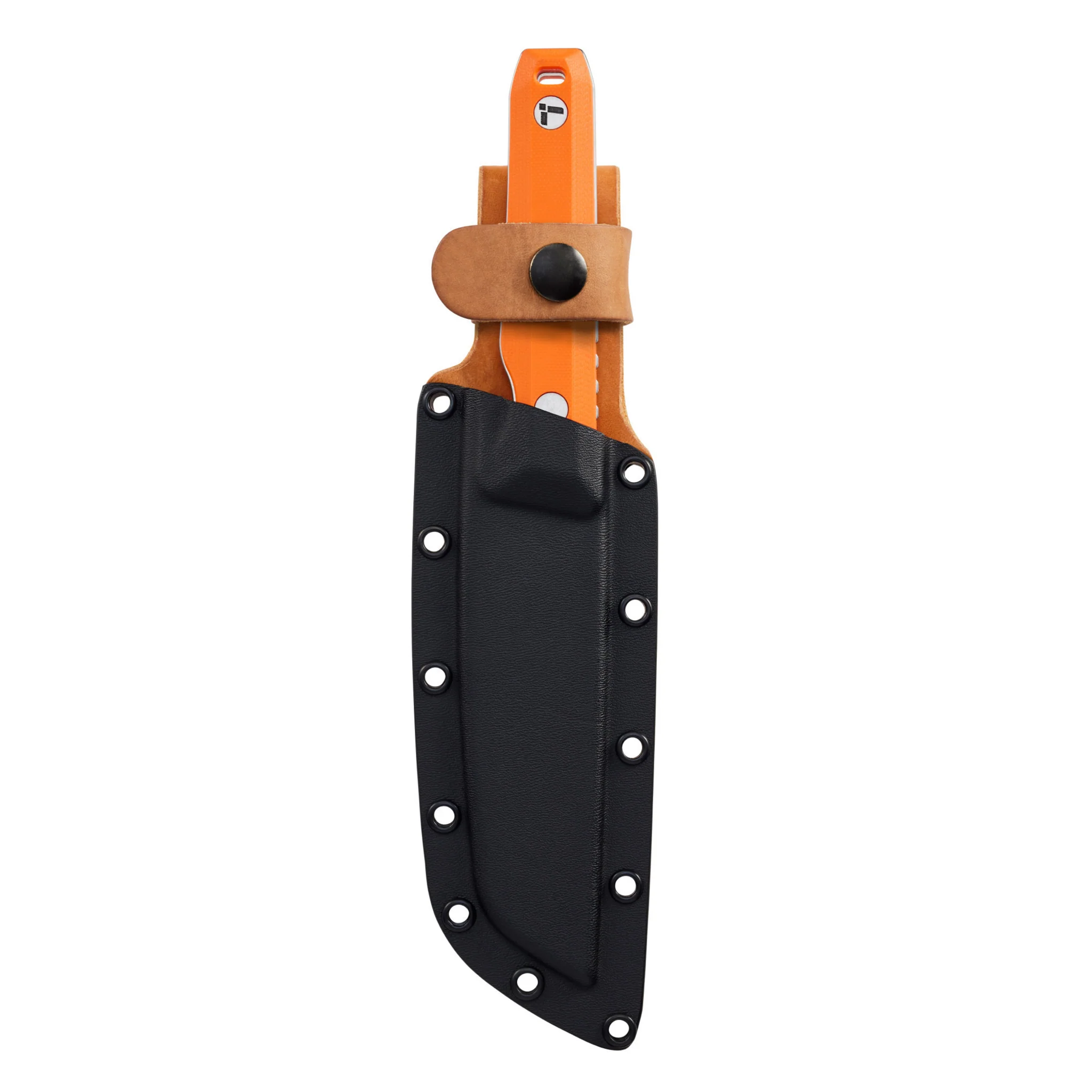 Pioneer™ - Image 4